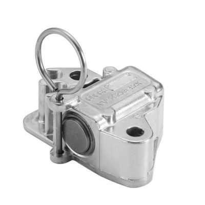 comprare Car Timing Chain Tensioner LR051008 LR095472 C2Z28428 C2Z20682 AJ813898 AJ812419 Per Land Rover Range Rover Sport Vogue Jaguar fabbricazione online