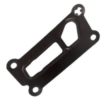 comprare Adapter Gasket Elring LR025007 per Land Rover Discovery Sport Range Rover Sport Evoque Freelander fabbricazione online