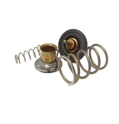 comprare Termostato LR023138 originale per Land Rover Range Rover Range Rover Sport fabbricazione online