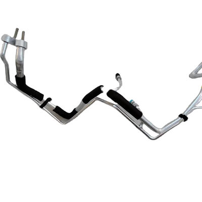 OE tubo di alimentazione ad alta pressione del carburante sistema di iniezione del binario C2Z30691 AJ811922 AJ811527 tubo di carburante per Jaguar XJ XF